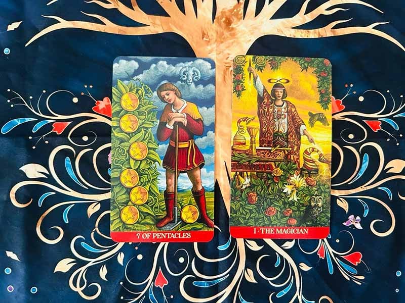Ý nghĩa lá 7 Of Pentacles xuôi