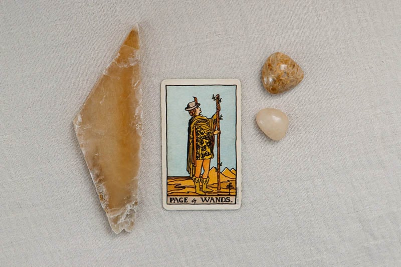 Ý nghĩa Page of Wands xuôi