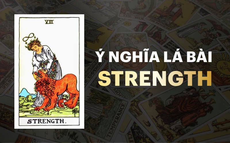 Ý Nghĩa Lá Bài Strength Trong Tarot: Giải Mã Từ A-Z