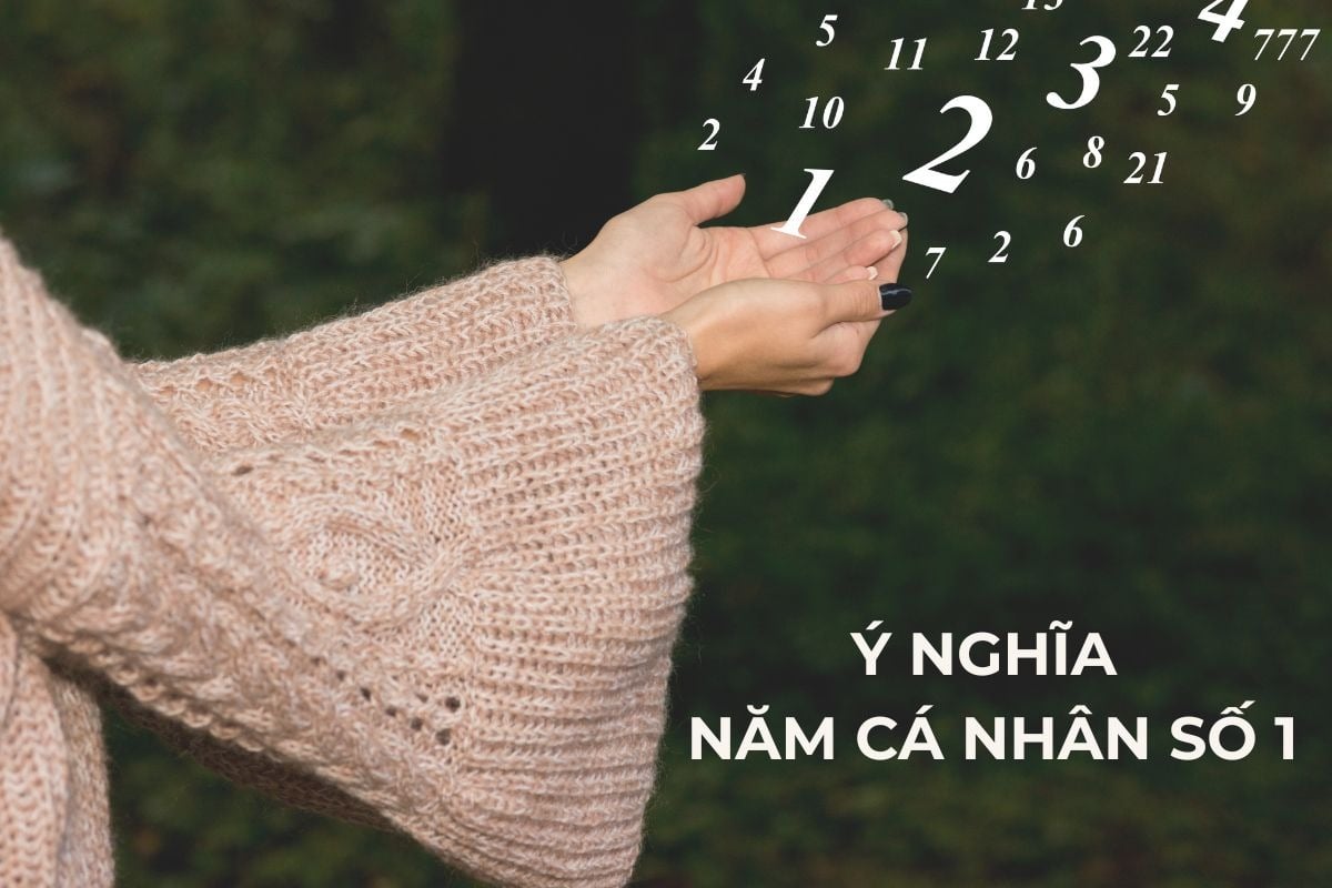 Năm cá nhân số 1 năm 2026: Ý nghĩa và định hướng mới