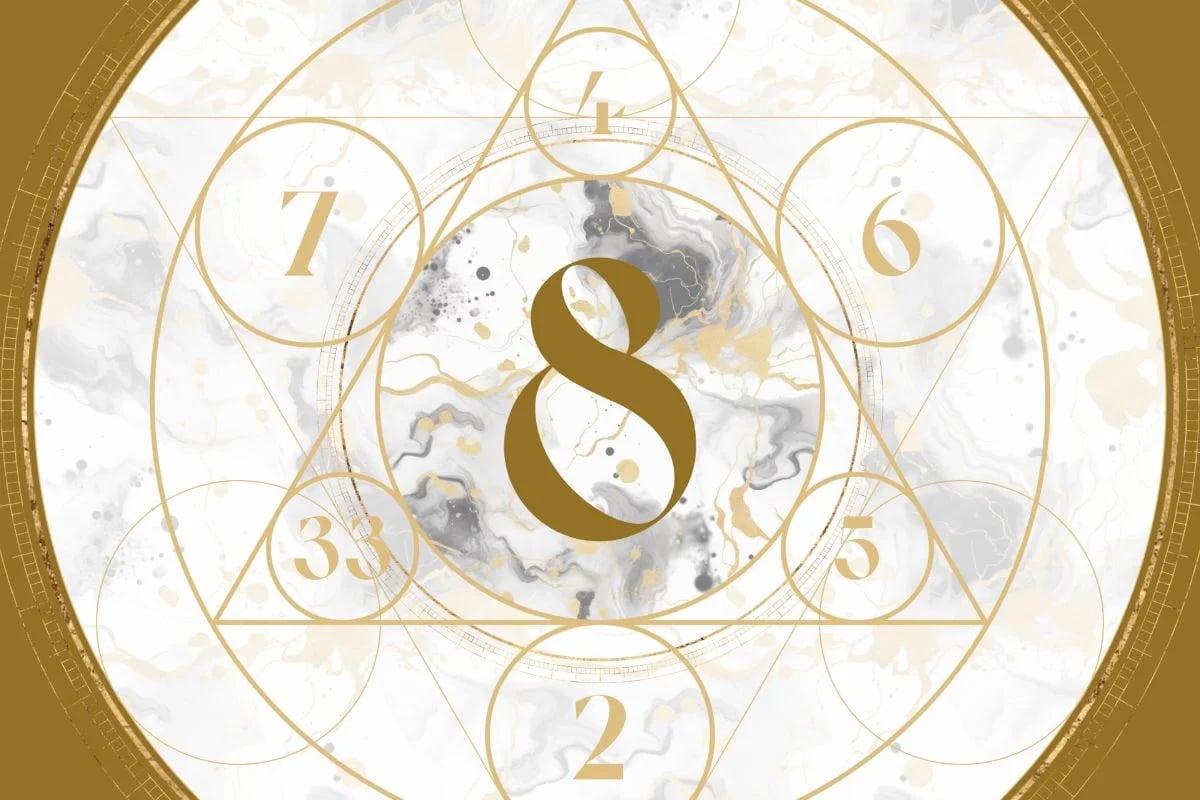 số đường đời 8