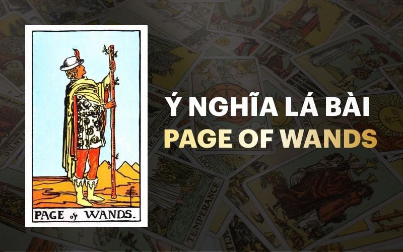 Ý Nghĩa Lá Bài Page Of Wands Trong Tarot: Giải Mã Từ A-Z