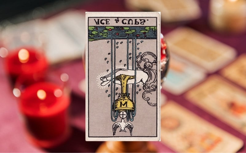 Ý nghĩa lá Ace of Cups ngược (Reversed)