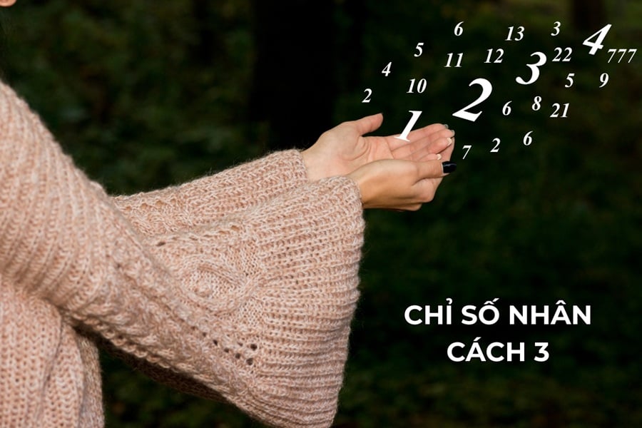 Chỉ số nhân cách 3