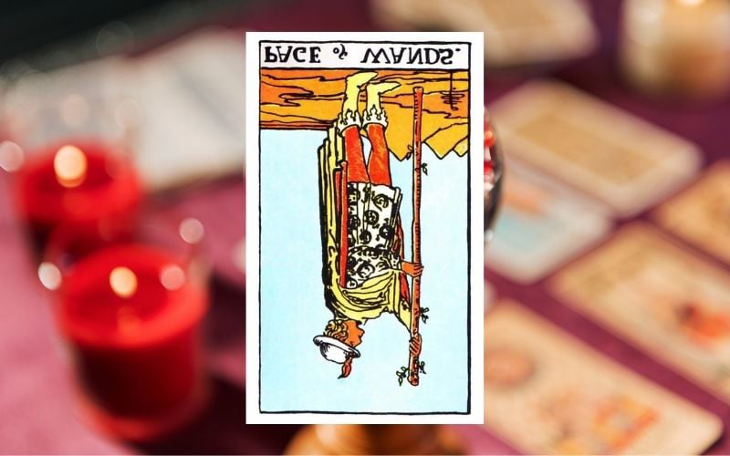 Ý nghĩa Page of Wands ngược