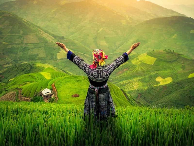 cung ph&uacute;c đức c&oacute; sao tham lang