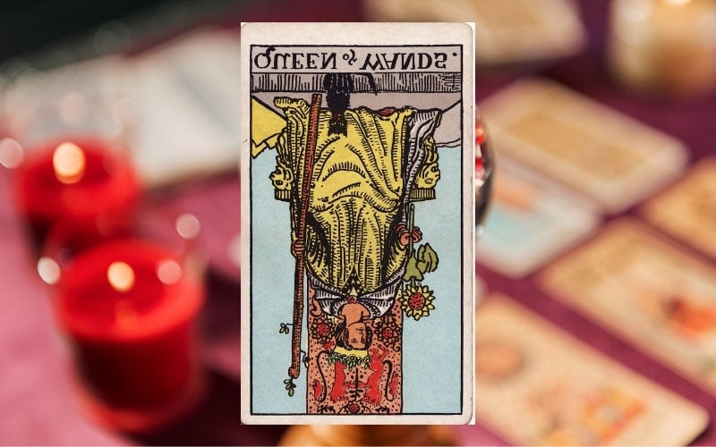 Ý nghĩa lá Queen of Wands ngược