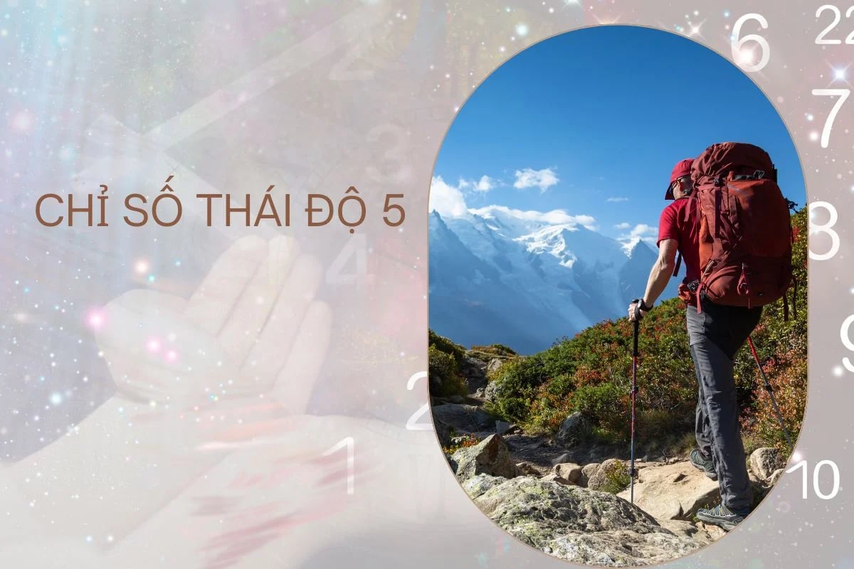 chỉ số thái độ 5