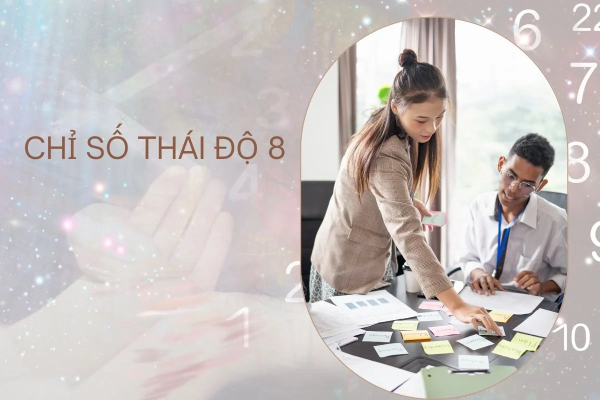 chỉ số thái độ 8