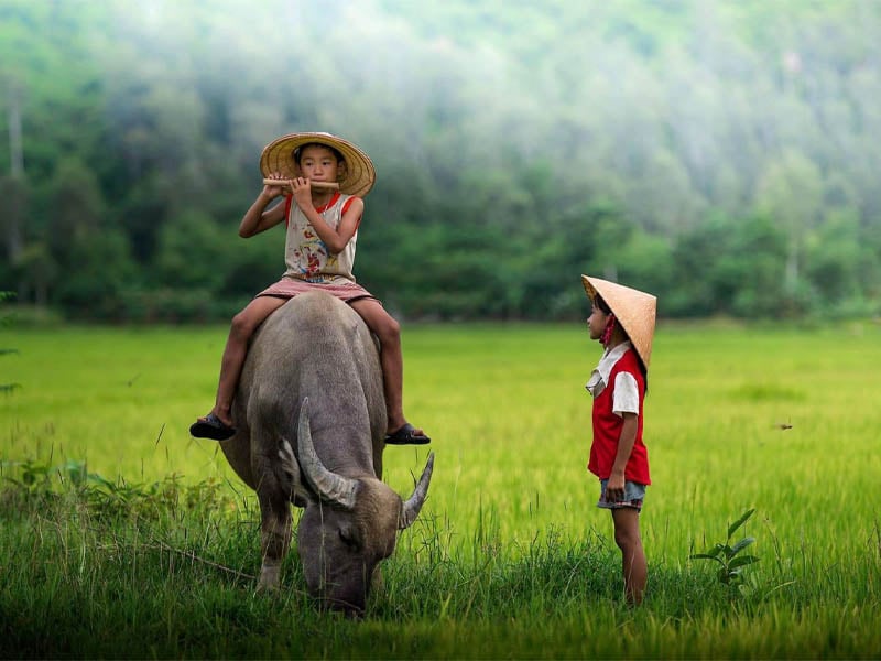 sao tuần tại cung mệnh