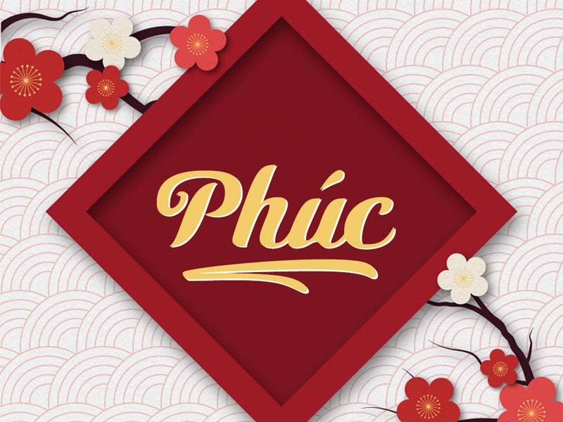 sao lưu h&agrave; cung ph&uacute;c đức
