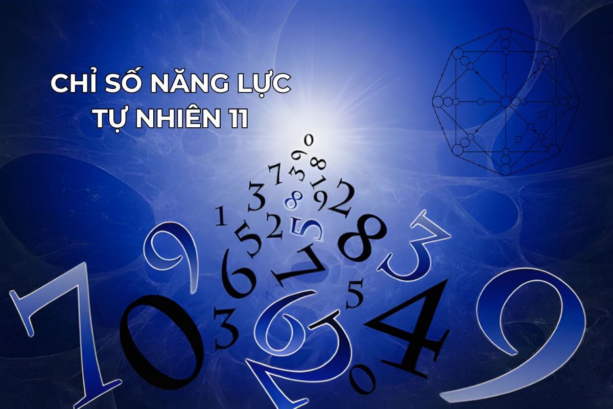 Chỉ số năng lực tự nhiên 11