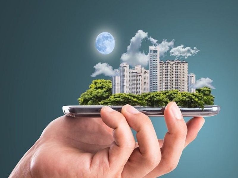 cung điền trạch c&oacute; hoa c&aacute;i nh&agrave; cao cửa rộng