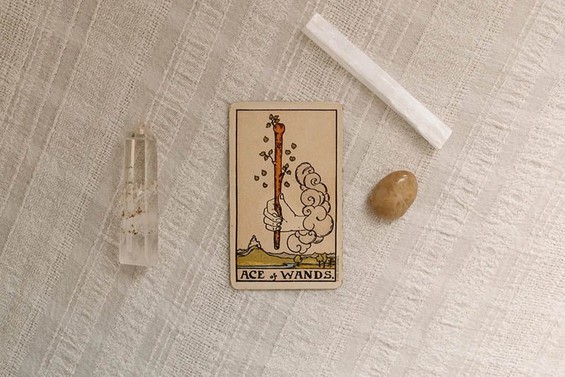 Ý nghĩa Ace of Wands khi trải bài xuôi