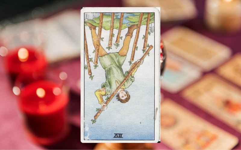 Phân tích ý nghĩa 7 Of Wands ngược