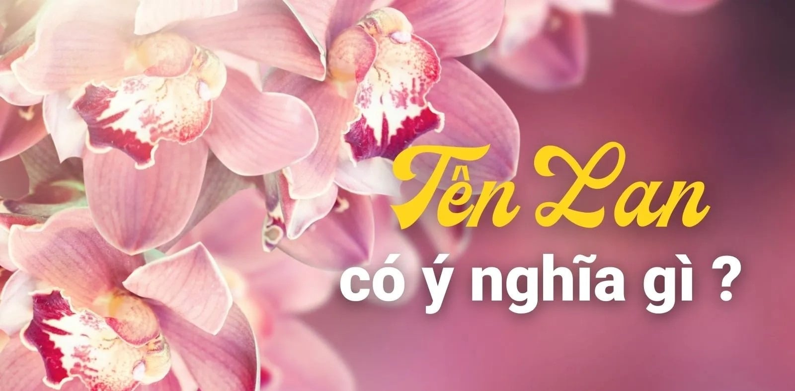 Tên Lan có ý nghĩa gì? Gợi ý 70+ tên đệm hay cho bé