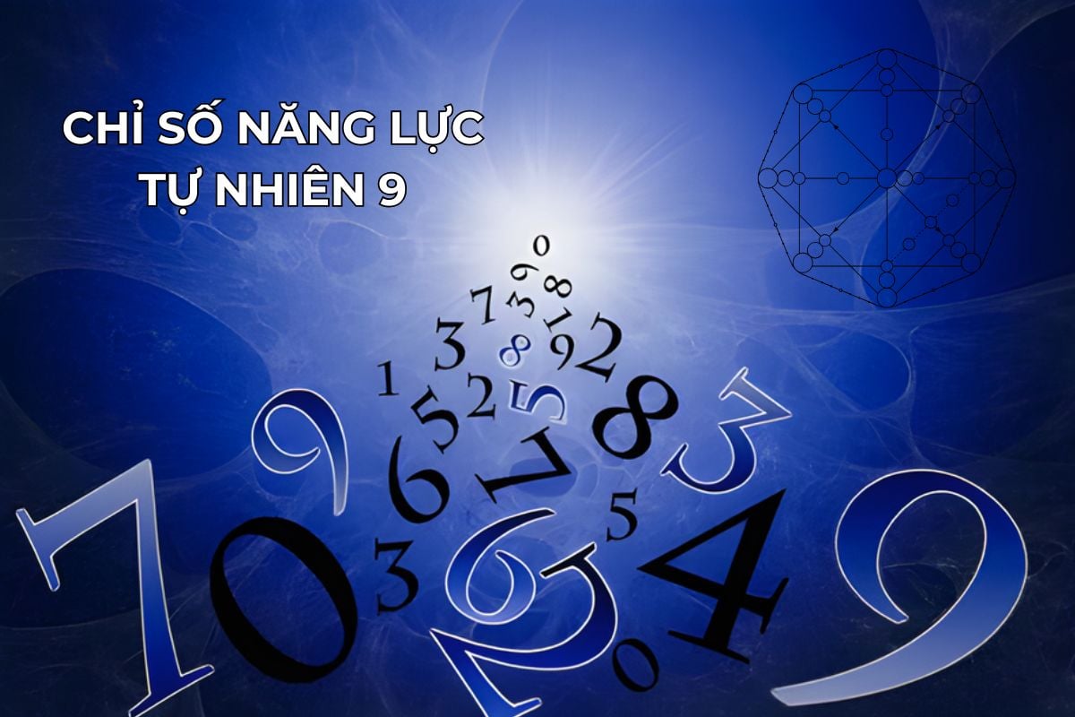 Chỉ số năng lực tự nhiên 9