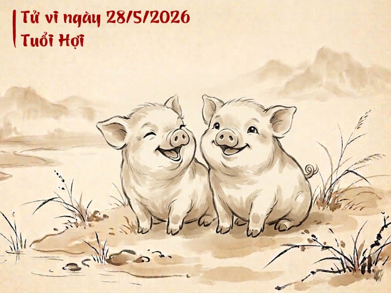 tử vi ngày 28/5/2026 tuổi hợi