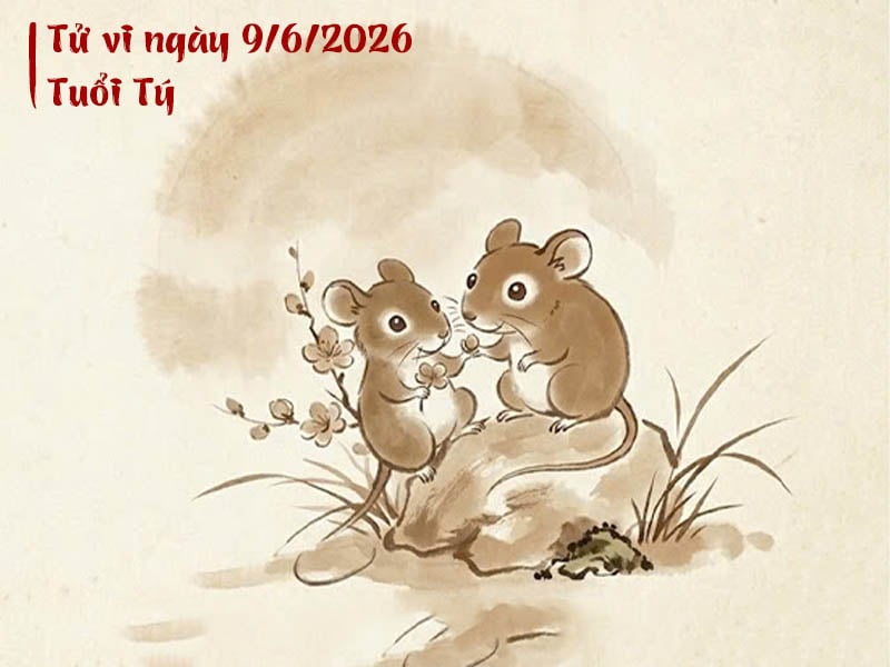 Tử vi ngày 9/6/2026 tuổi Tý