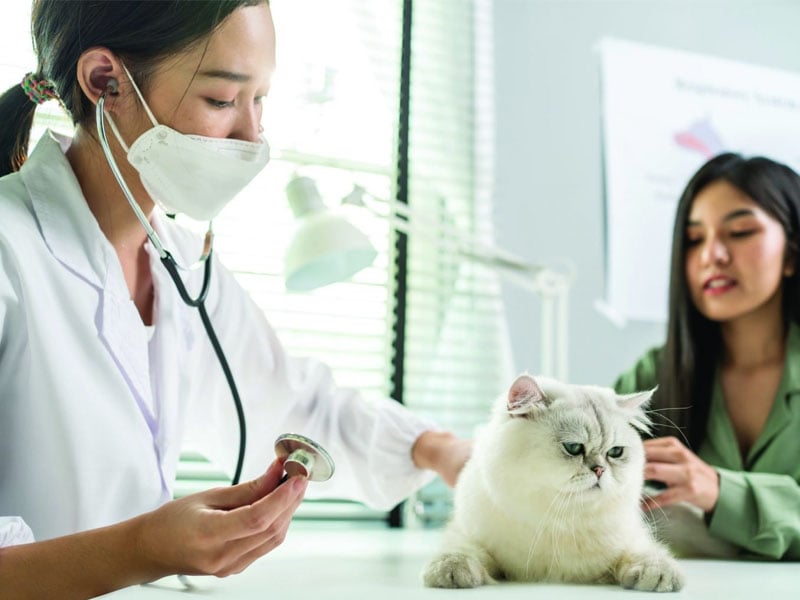 sao thi&ecirc;n tướng đi c&ugrave;ng sao thi&ecirc;n y