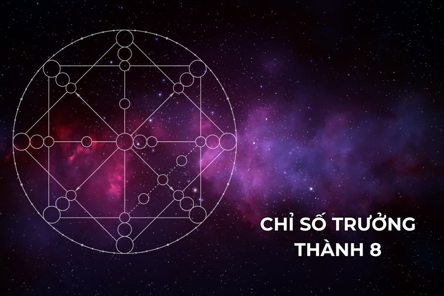 Chỉ số trưởng thành 8 