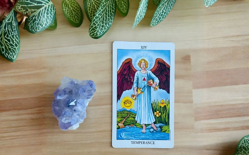 Temperance trong các lĩnh vực đời sống