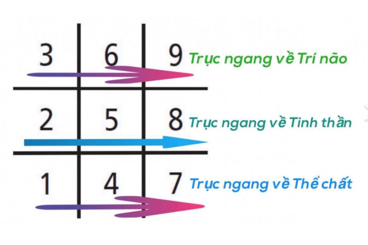 hân tích mũi tên trong biểu đồ tên