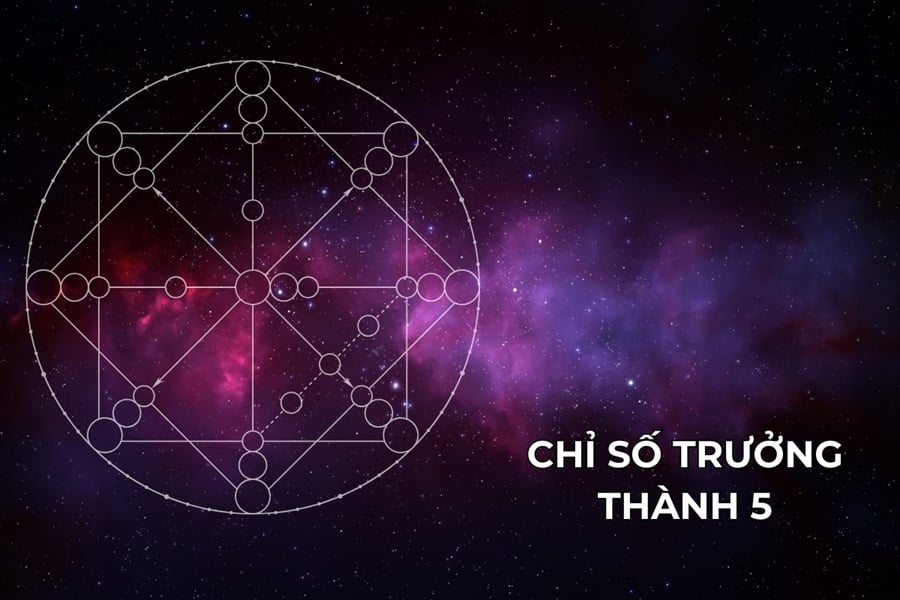 Chỉ số trưởng thành 5