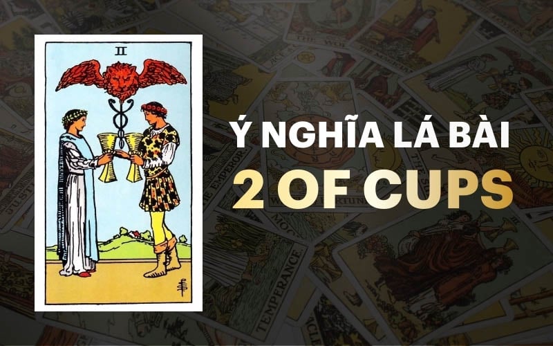 2 Of Cups Trong Tarot: Ý Nghĩa Tình Yêu Và Kết Nối