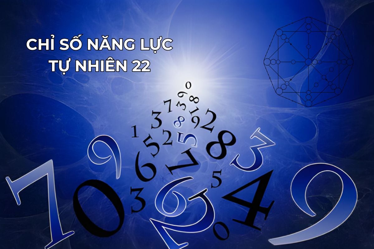 Chỉ số năng lực tự nhiên 22