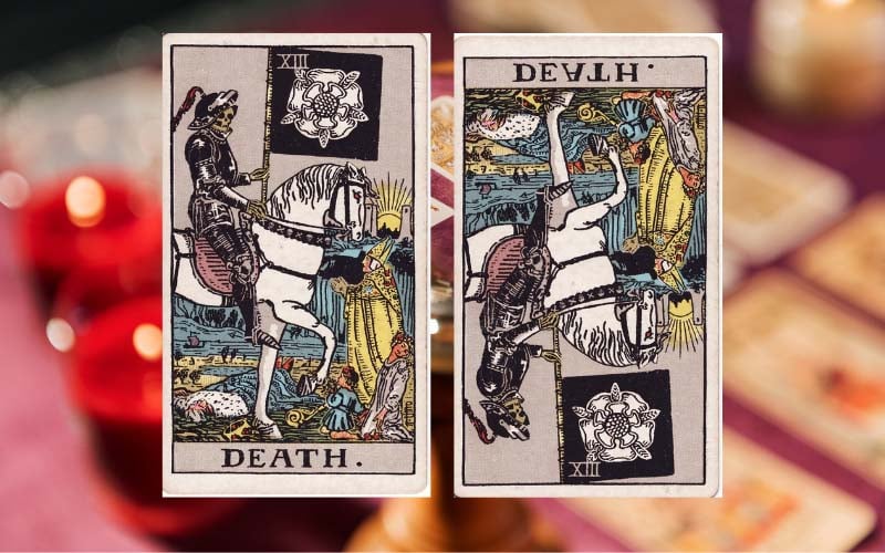 Ý nghĩa xuôi và ngược của lá Death trong các khía cạnh đời sống