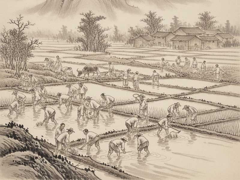n&ocirc; bộc v&ocirc; ch&iacute;nh diệu tại dần