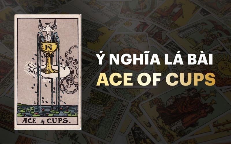 Ace Of Cups Trong Tarot: Ý Nghĩa Cảm Xúc Và Tâm Linh