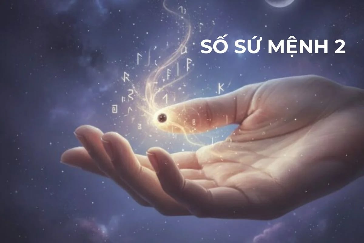 Số sứ mệnh 2