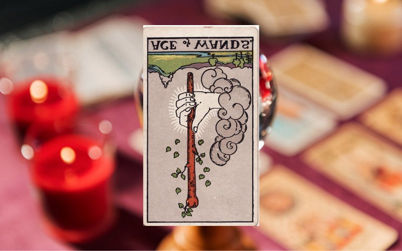 Ý nghĩa Ace of Wands khi ở vị trí ngược