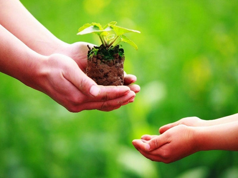sao thi&ecirc;n tướng cung ph&uacute;c đức