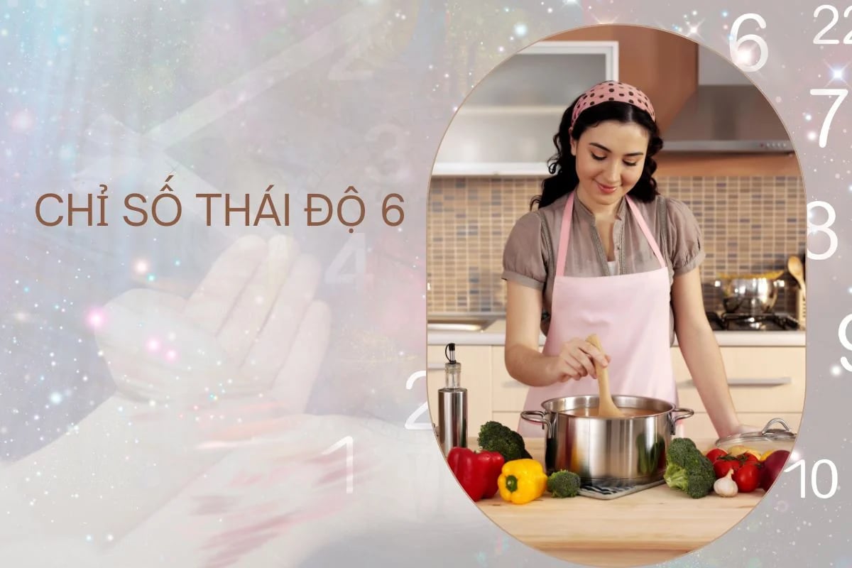 chỉ số thái độ 6