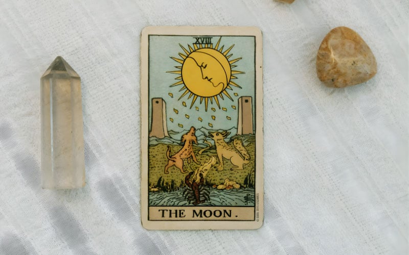 The Moon trong các lĩnh vực cụ thể