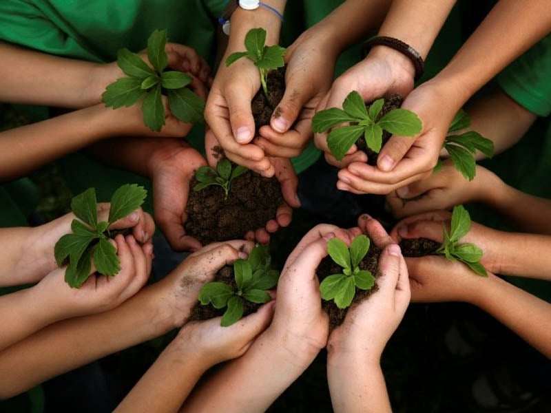 sao điếu kh&aacute;ch chỉ người ph&oacute;ng kho&aacute;ng