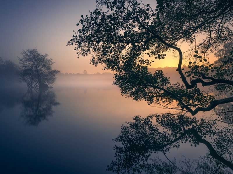 sao h&oacute;a kỵ trong bộ tứ h&oacute;a