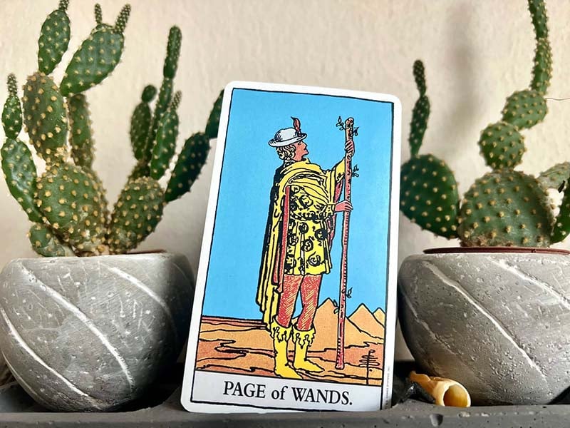 Giải đáp nhanh lá Page of Wands là "Yes" hay "No"?