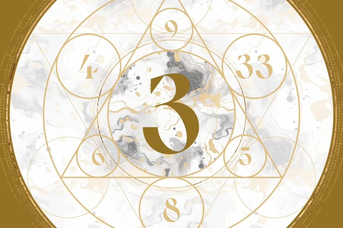 số đường đời 3