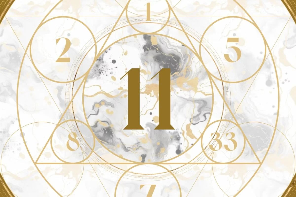 số 11