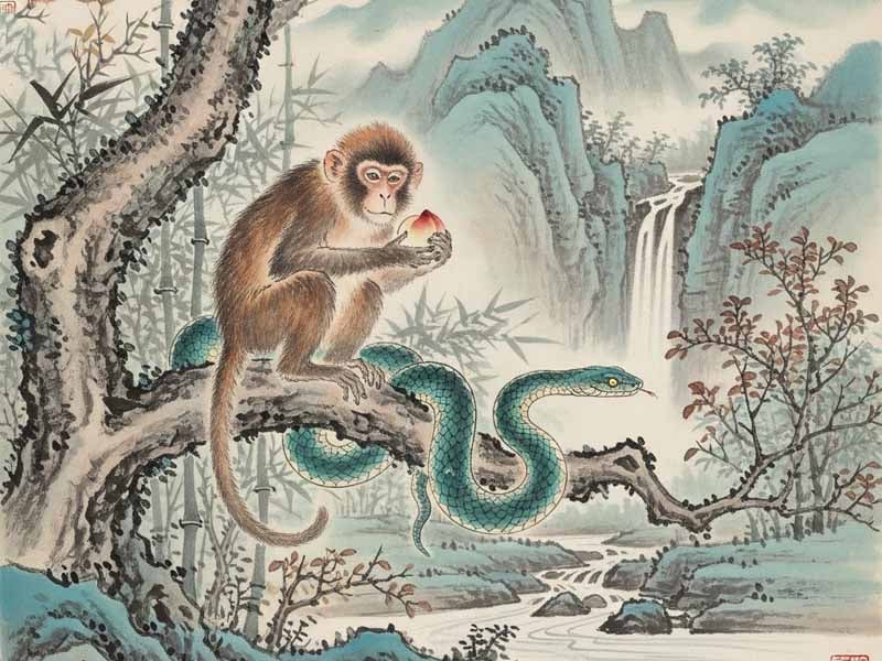nhị hợp tỵ th&acirc;n