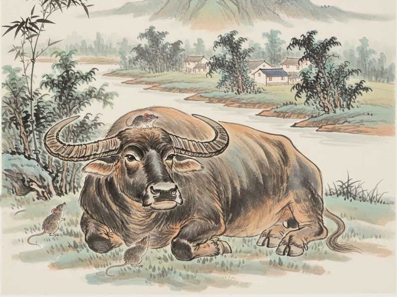 mệnh nhị hợp phụ mẫu