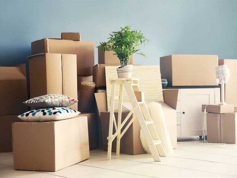 sao lưu thi&ecirc;n m&atilde; tại cung điền trạch