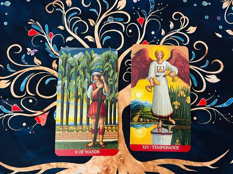 Sự khác biệt giữa Nine Of Wands và các lá bài cùng bộ