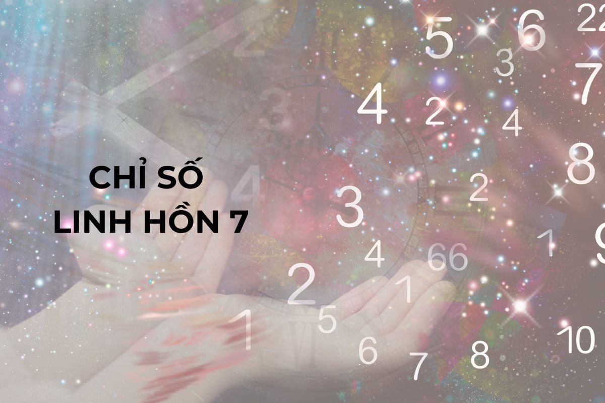 Linh hồn số 7